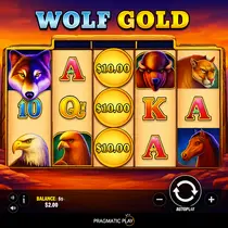 KatanaSpin - Wolf Gold Slot Game - Pragmatic Play